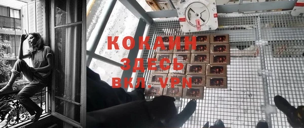 бошки Кукмор